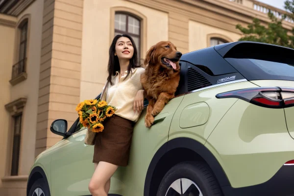 GEELY XINGYUAN (EX2)